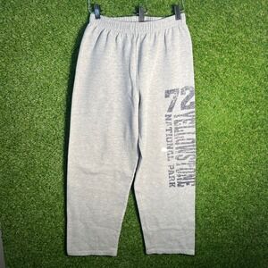 Prairie Mountain Yellowstone National Park Sweatpants Gray Graphic Small